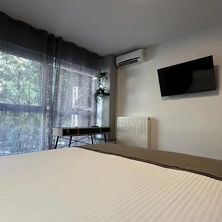 Loft *